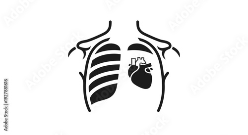 Human Anatomy Illustration: Lungs and Heart Icon