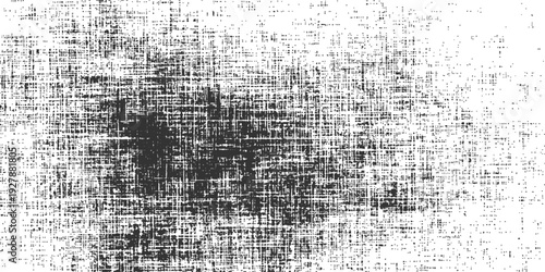 Textured Canvas of Grayscale: A close-up view reveals an aged canvas, its surface marked by an intricate pattern of black and white tones. The texture speaks of time, age, and a rich history. 