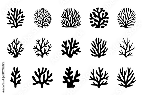 Marine Coral Illustrations: A captivating collection of intricately designed coral illustrations, showcasing the delicate beauty and diversity of the underwater world.