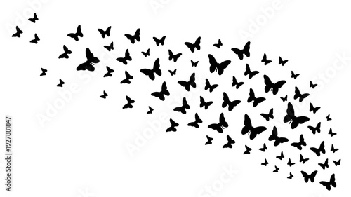 Swarm of silhouette Butterflies: A mesmerizing display of silhouette butterflies takes flight, evoking a sense of grace and transformation against the bright.