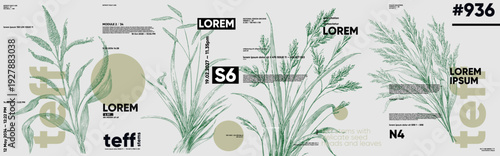 Illustration featuring botanical elements with text overlays, combining modern typography and natural motifs. The design includes abstract shapes and detailed plant drawings.