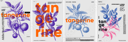 Illustration featuring a stylized tangerine branch with leaves and fruit, overlaid with bold typography. The design combines vibrant colors and modern text elements for a striking visual impact.