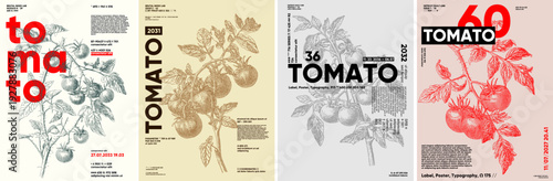 A series of four vintage-style posters featuring tomato illustrations with bold typography. Each design showcases intricate line art of tomato plants, creating a retro aesthetic.