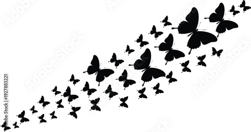 Black silhouettes of butterflies flying in a decorative swarm, beautiful nature insects trail, fluttering wings, spring transformation and garden vector