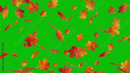Vibrant autumn leaves falling against green background