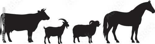Set of four farm animal silhouettes including cow, goat, sheep and horse, isolated on white background, clean vector style