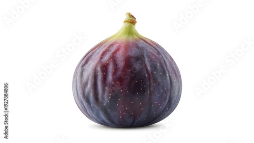 A ripe purple fig with a green stem on a white background