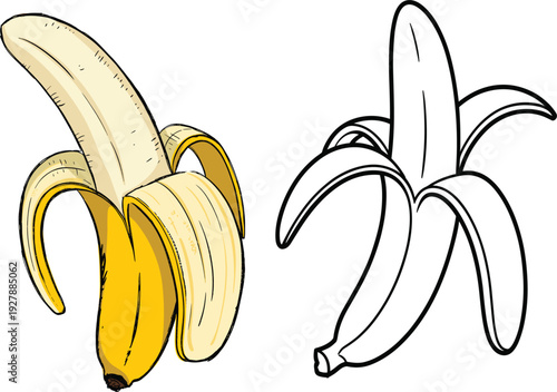 Yellow Peeled Banana Illustration And Black Line Art Outline Isolated On A Clean White Background