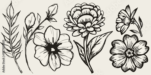 Detailed black and white botanical illustration featuring various flowers and leaves in a decorative arrangement