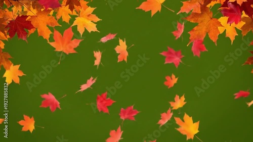 Vibrant autumn leaves falling against green background