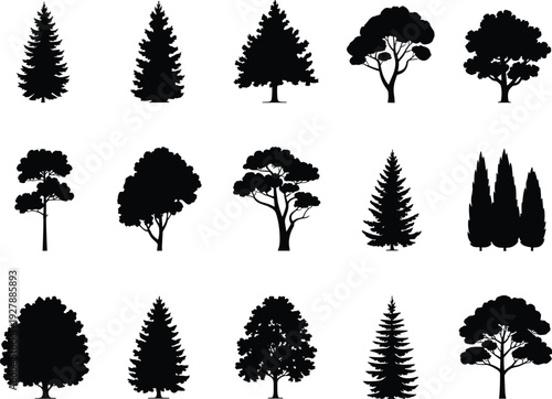 Tree Silhouette Collection Isolated on White Background, Pine Oak Cypress Forest Trees Black Icons Set for Nature Landscape Design and Botanical Clipart