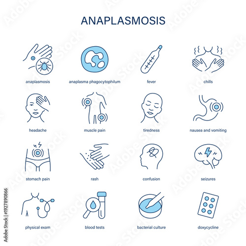 Anaplasmosis symptoms, diagnostic and treatment vector icon set