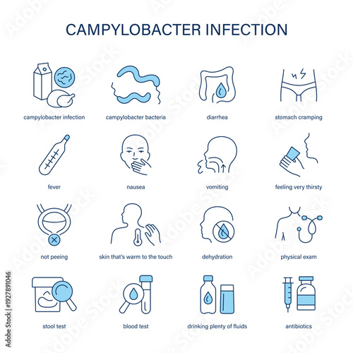 Campylobacter Infection symptoms, diagnostic and treatment vector icon set