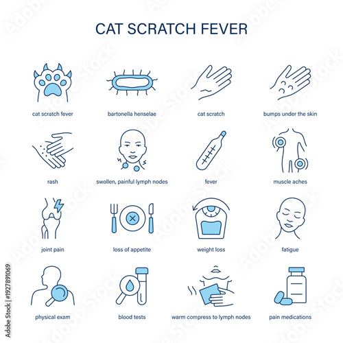 Cat Scratch Fever symptoms, diagnostic and treatment vector icon set
