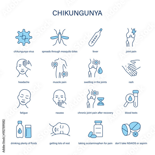 Chikungunya symptoms, diagnostic and treatment vector icon set