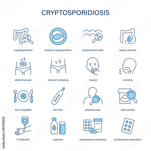 Cryptosporidiosis symptoms, diagnostic and treatment vector icon set
