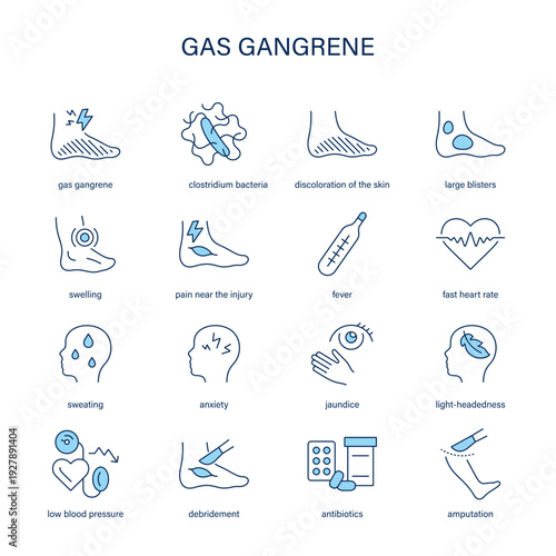 Gas Gangrene symptoms, diagnostic and treatment vector icon set