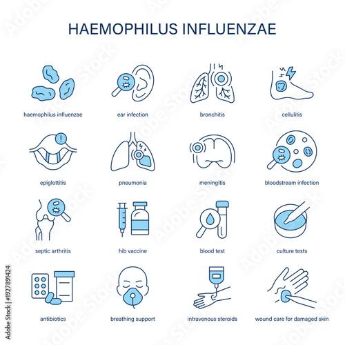 Haemophilus Influenzae symptoms, diagnostic and treatment vector icon set