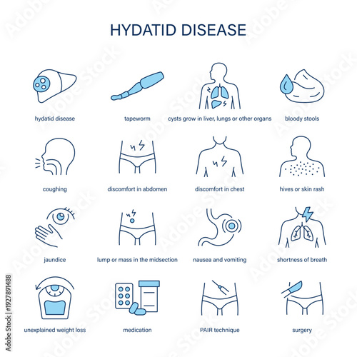 Hydatid Disease symptoms, diagnostic and treatment vector icon set