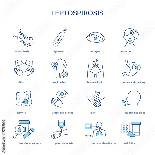 Leptospirosis symptoms, diagnostic and treatment vector icon set