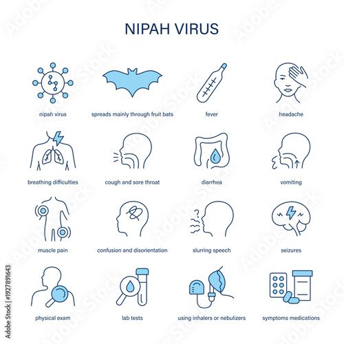 Nipah Virus symptoms, diagnostic and treatment vector icon set