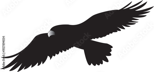 eagle vector illustration file 