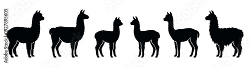 Six black silhouettes of llamas and alpacas in profile view, a graphic set of farm animals with different woolly coats and body shapes in a clean vector illustration style