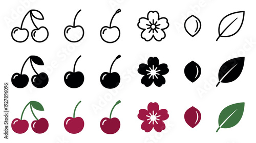 Collection of cherry fruit icons set in three different styles including thin line outline, black silhouette, and simple flat color with berries, leaves, seeds, and blossoms