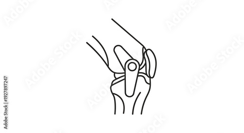Knee Joint Anatomy Icon - Medical Healthcare Illustration