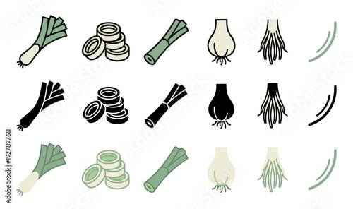 Green onion, leek, and scallion icon set showing whole vegetables, slices, roots, and bulbs in line art, solid glyph, and flat color vector illustration styles