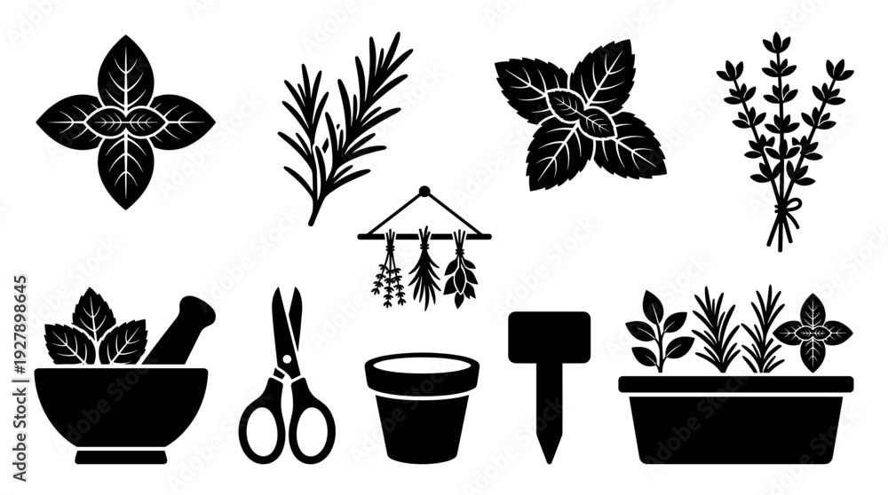 Fototapeta premium Various black silhouette icons representing culinary herbs and gardening tools are neatly arranged, showcasing different stages from growing to preparing, in a clean, graphic vector style