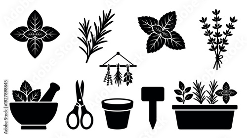 Various black silhouette icons representing culinary herbs and gardening tools are neatly arranged, showcasing different stages from growing to preparing, in a clean, graphic vector style