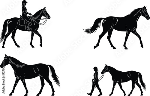 Silhouettes of horses with rider and handler in different poses for equestrian training, horse walking, riding instruction, animal care, and equine sport design projects.
