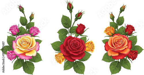 Floral rose bouquet illustration, yellow red orange roses, decorative flat vector