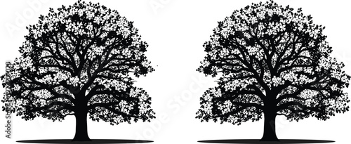 Large tree silhouettes collection, detailed leafy canopy illustration set, natural woodland design elements isolated on white background