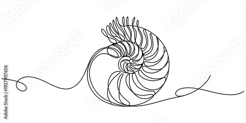 Minimalist continuous line art nautilus shell illustration