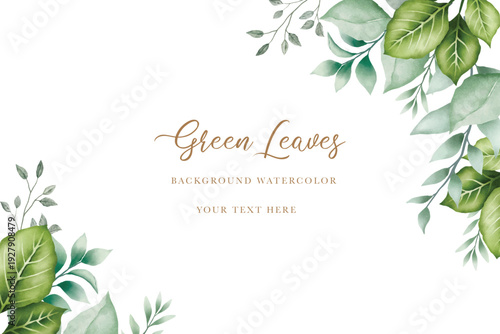 beautiful watercolor green leaves background