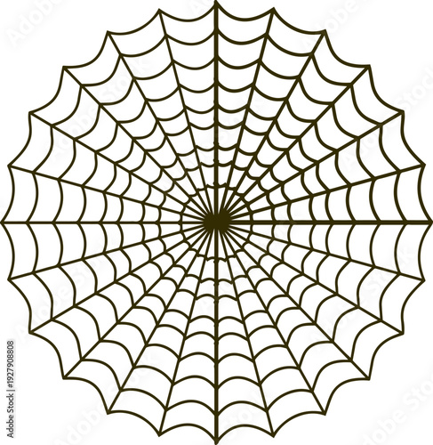 Create a Realistic spider vector art silhouette with white background..