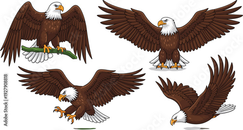 Bald Eagle in Different Flying and Perching Poses Wildlife Illustration