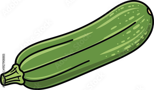 Green cucumber with stem on white background vegetable