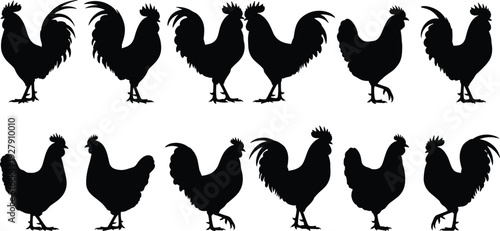 Rooster and chicken silhouettes collection, farm poultry birds set, rustic animal illustration for agriculture design isolated on white background