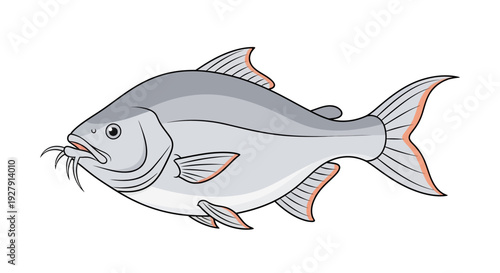 Gray Fish Side View.