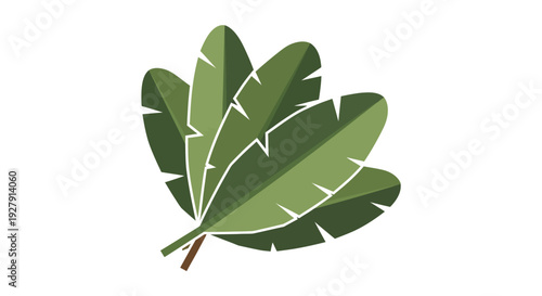Green Leaf Illustration Design.