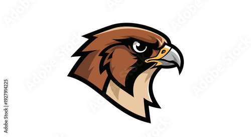 Hawk Bird Head Illustration.