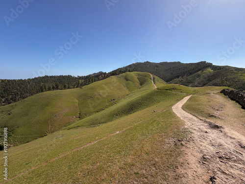 Ruta de senderismo entre colinas verdes del Monte Pavón en Canarias