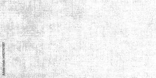 Abstract Grunge Texture: A detailed, high-resolution texture evoking a sense of weathered age and raw, textured character.