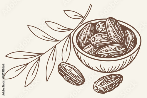 A simple line illustration of dates in a bowl with a branch and scattered fruit, isolated on a light background