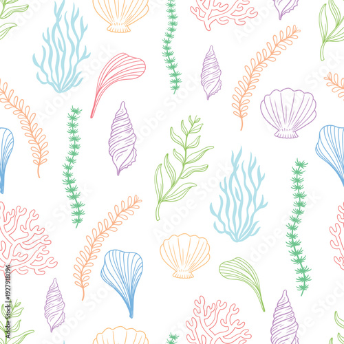 Marine seamless pattern with colorful line art seashells and seaweed on white background