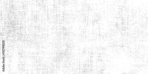 Grayscale Grunge Texture: A textured grayscale background with a rugged, worn aesthetic, conveying a sense of age, character, and tactile quality.