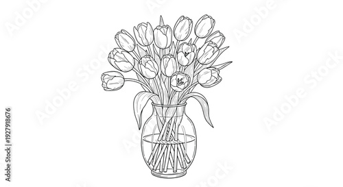 A beautiful black and white line art illustration of a bouquet of tulips in a clear glass vase, rendered in a vintage engraving style.